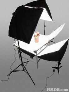 从OL套装批发到专业摄影服务 商业拓展与技术融合之路